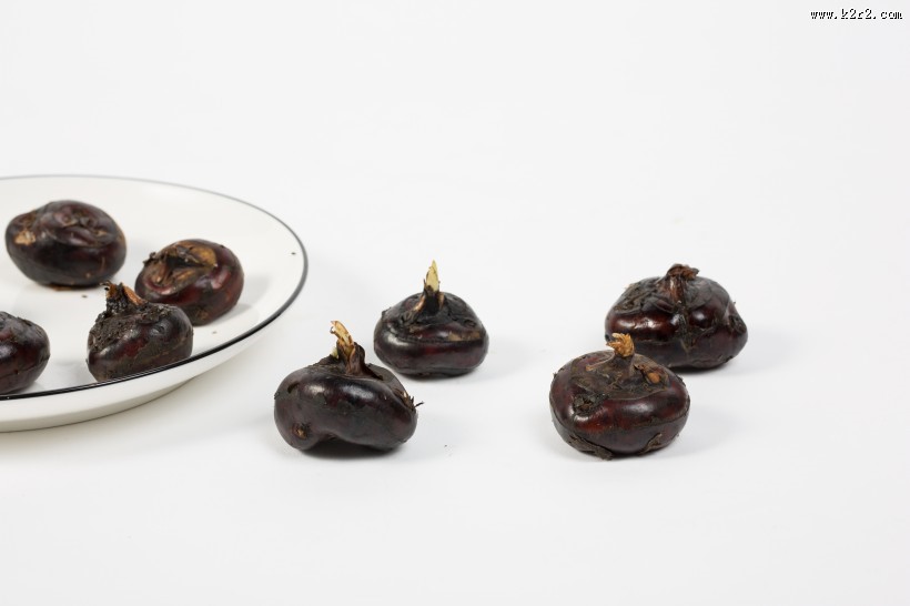 营养健康的马蹄图片