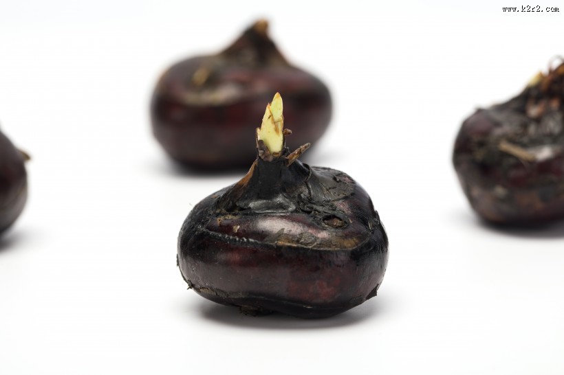 营养健康的马蹄图片