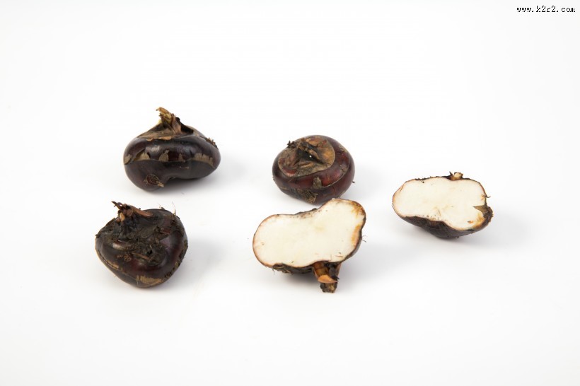 营养健康的马蹄图片