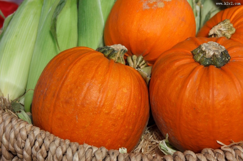 黄色的南瓜图片