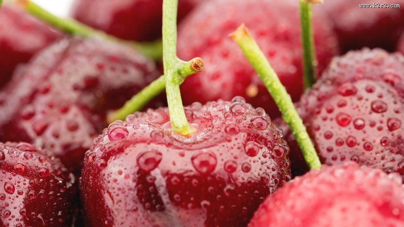 美味可口的带着水珠的车厘子图片