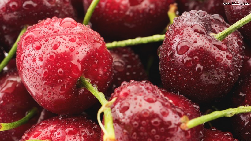 美味可口的带着水珠的车厘子图片