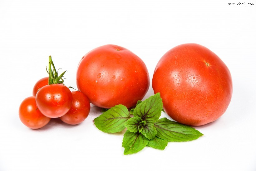 鲜红的西红柿图片