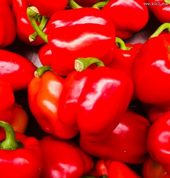 粗壮的菜椒图片大全