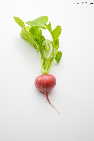 新鲜的红萝卜图片大全