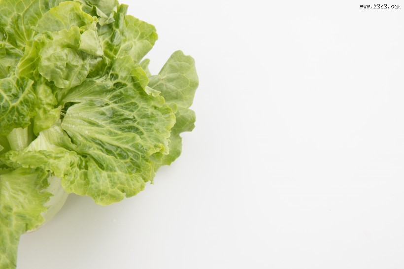 绿色生菜图片