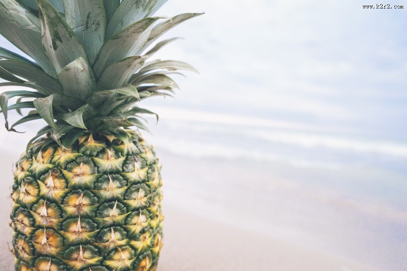 美味的菠萝图片