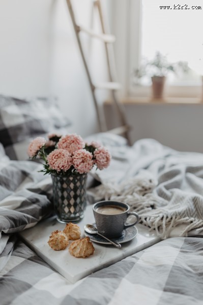 摆放在床上的泡芙图片大全