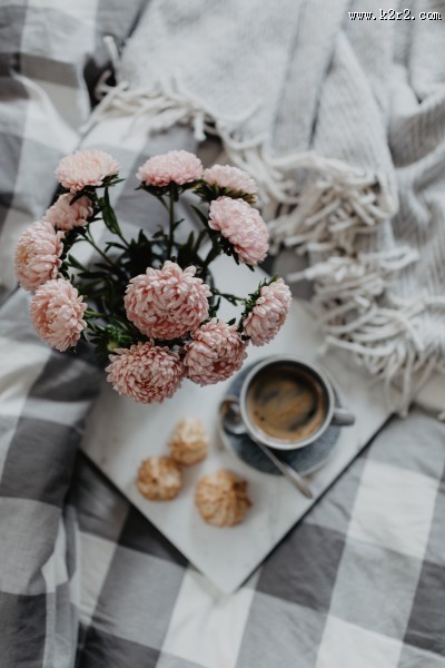 摆放在床上的泡芙图片大全