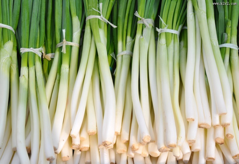 葱翠的大葱图片