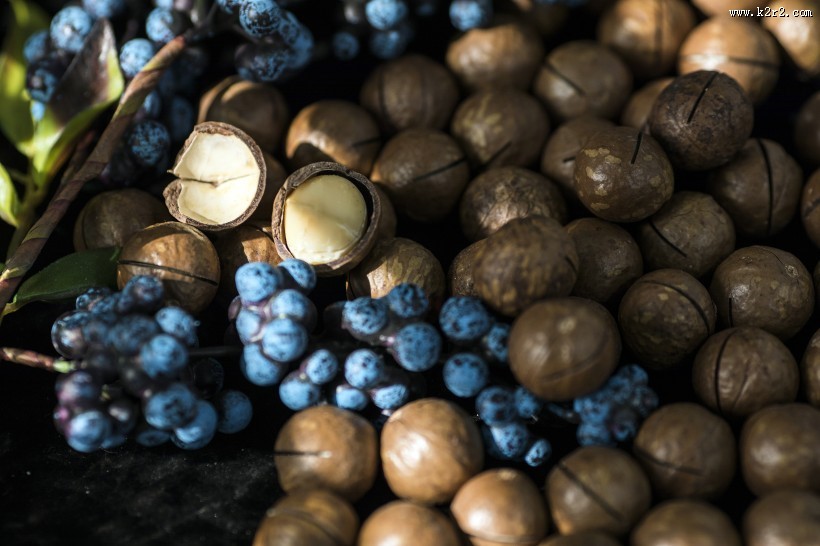 营养好吃的夏威夷果图片