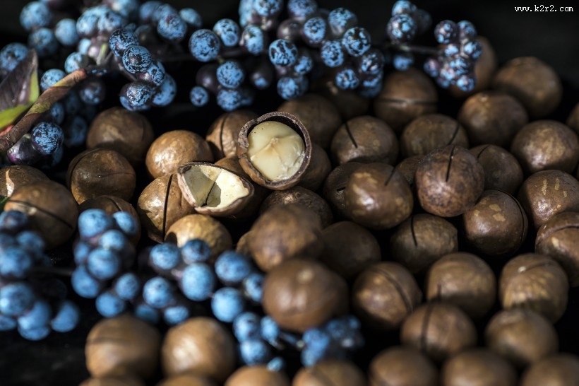 营养好吃的夏威夷果图片