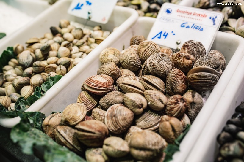 新鲜的海鲜图片