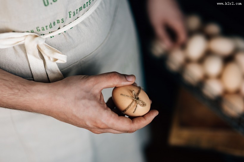 新鲜的鸡蛋特写图片