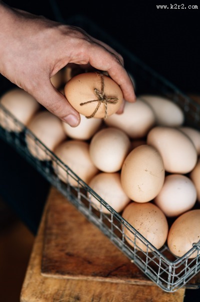 新鲜的鸡蛋特写图片
