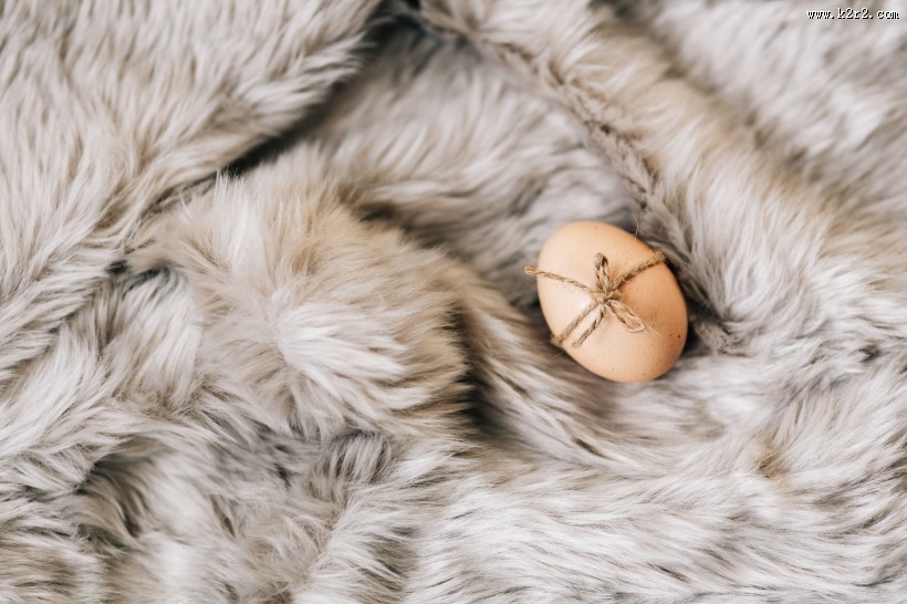 新鲜的鸡蛋特写图片