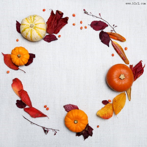 可口的南瓜图片