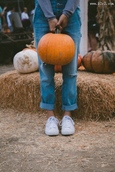 可口的南瓜图片