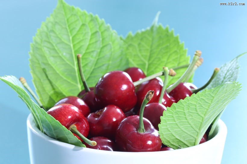 酸甜可口的红色车厘子图片大全