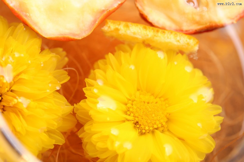 漂亮的养生菊花茶图片大全