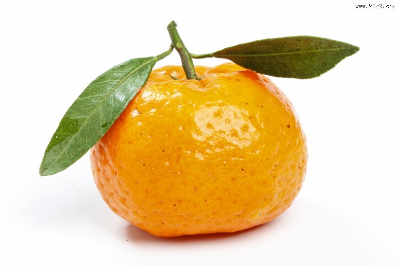 美味酸甜的橘子图片