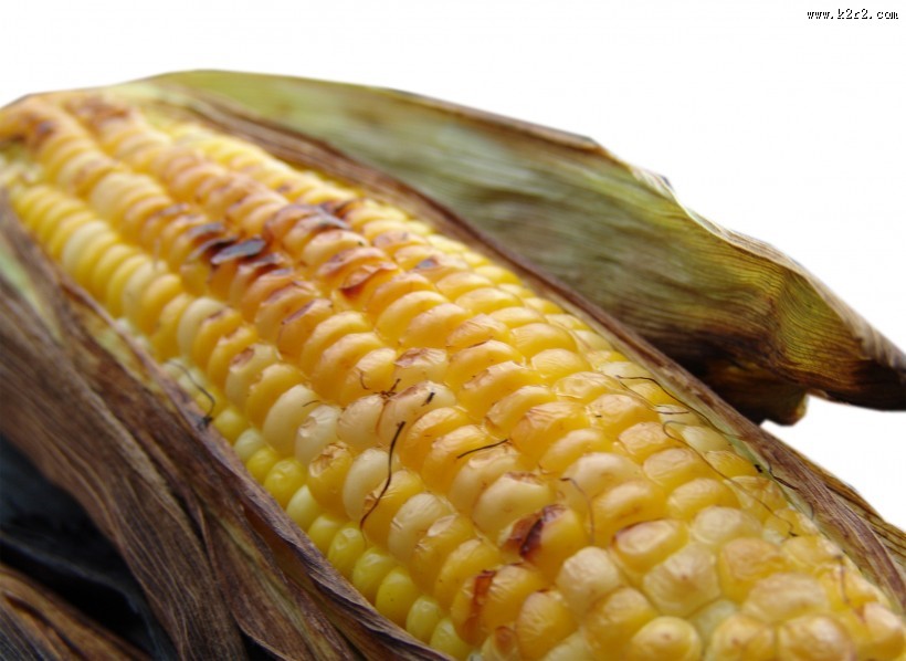 童年记忆烤玉米图片