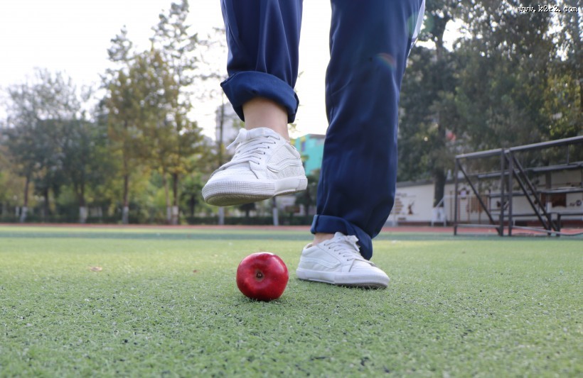 诱人的红苹果图片