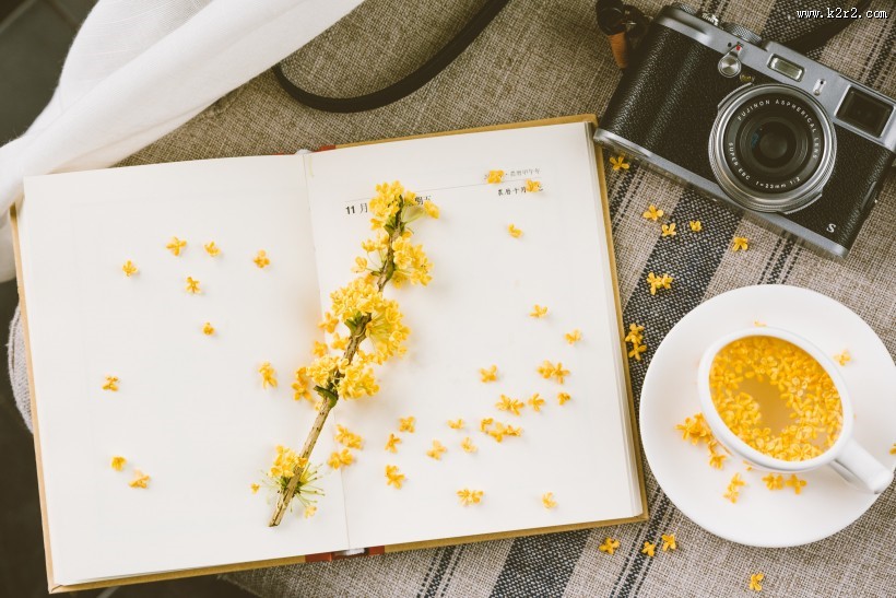 香喷喷的桂花酒图片