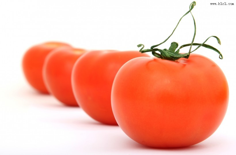 酸甜好吃的西红柿图片大全