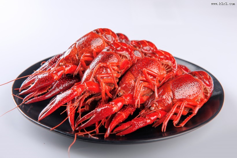 美味好吃大龙虾图片大全