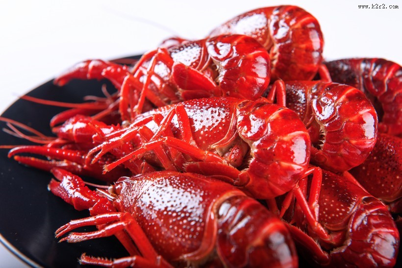 美味好吃大龙虾图片大全