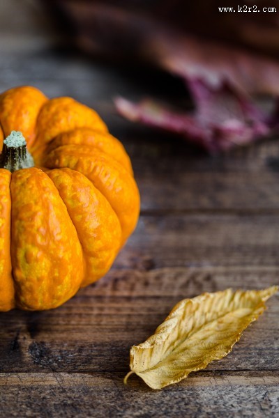 奇异的南瓜图片