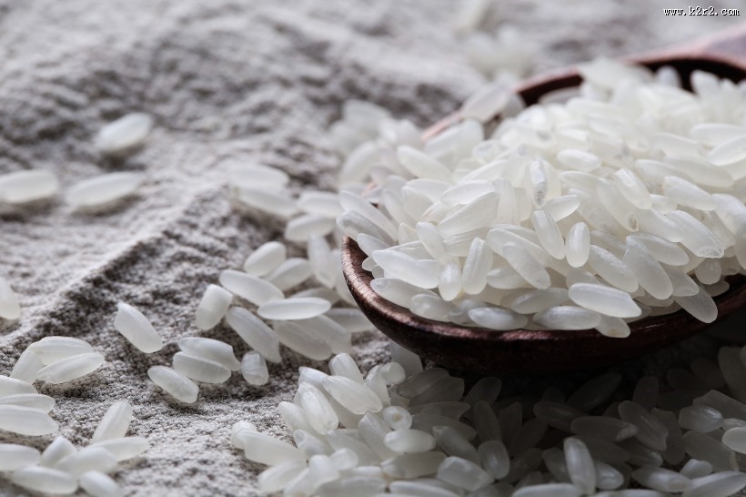 白色大米图片大全