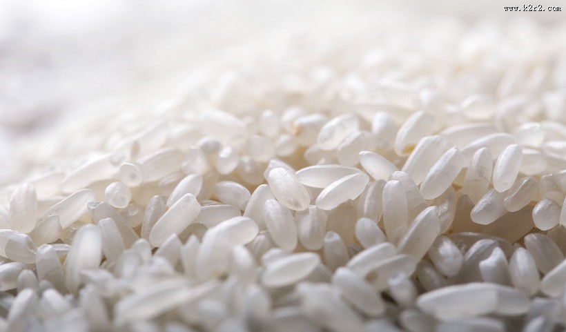 白色大米图片大全
