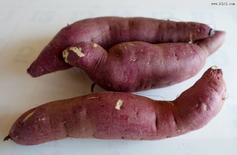 新鲜红薯图片
