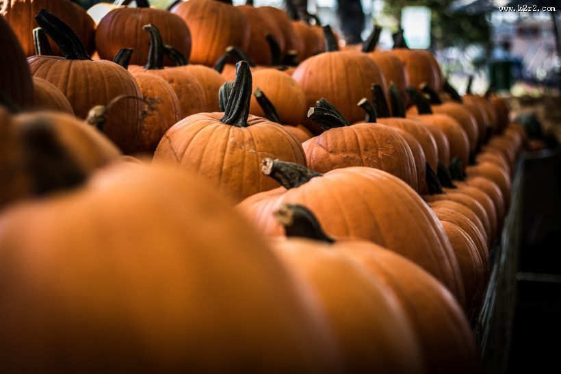 一堆南瓜高清图片
