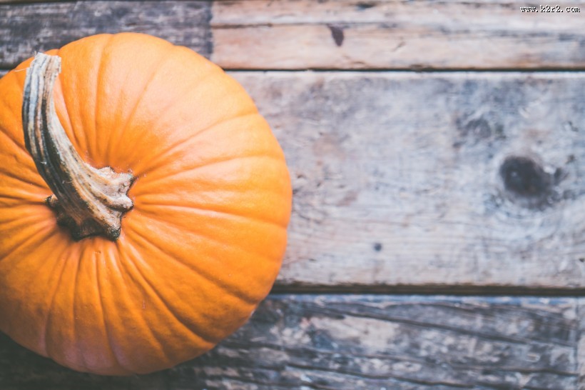 又大又圆的南瓜图片大全