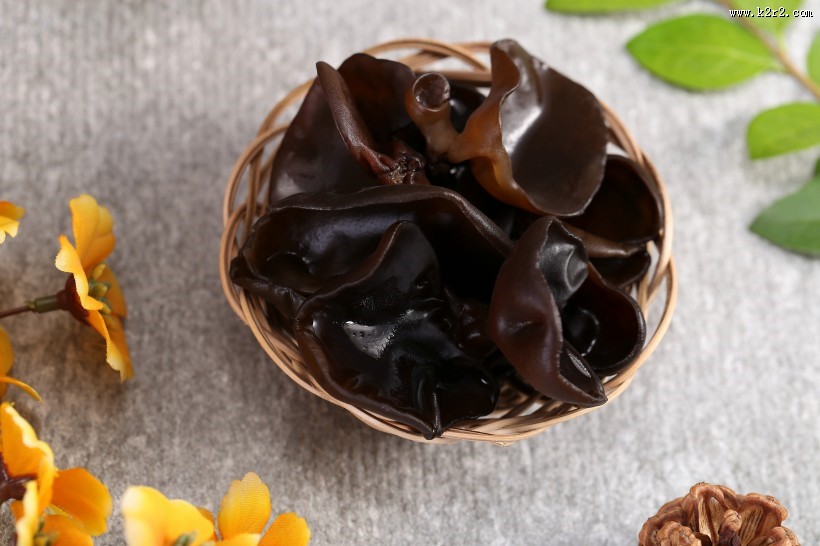 新鲜有机黑色木耳图片