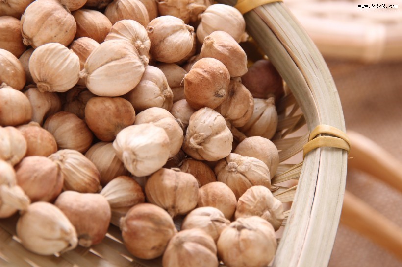 味道清香的香菜籽图片大全