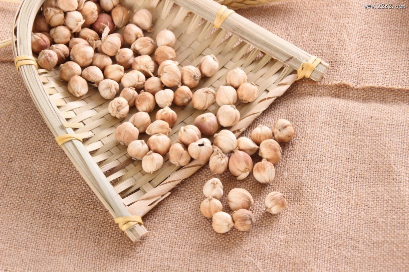 味道清香的香菜籽图片大全