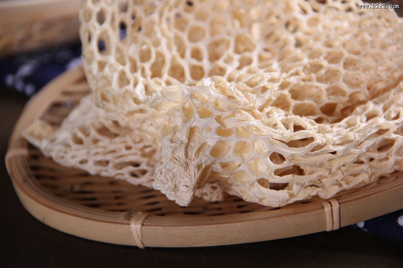 营养真菌竹荪图片