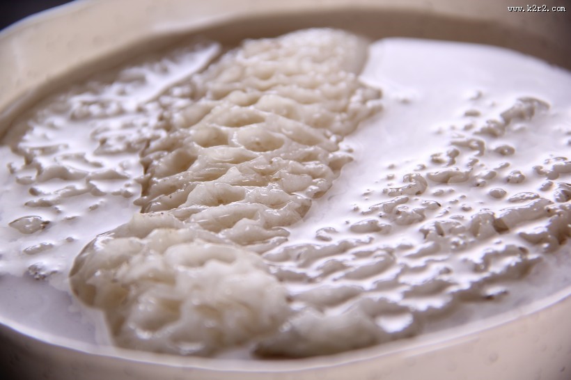 营养真菌竹荪图片