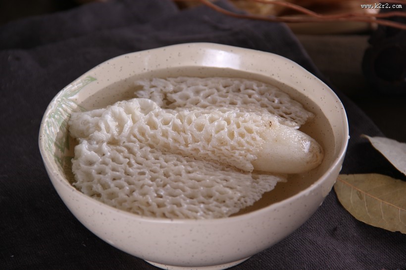 营养真菌竹荪图片