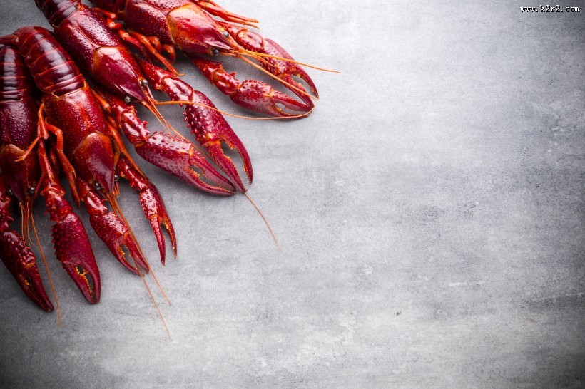 够味的小龙虾图片