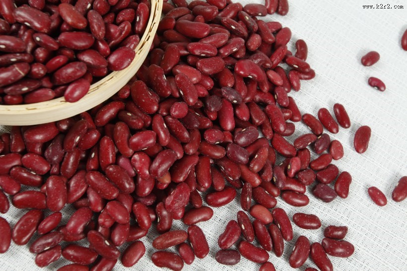 绿色无公害红豆图片