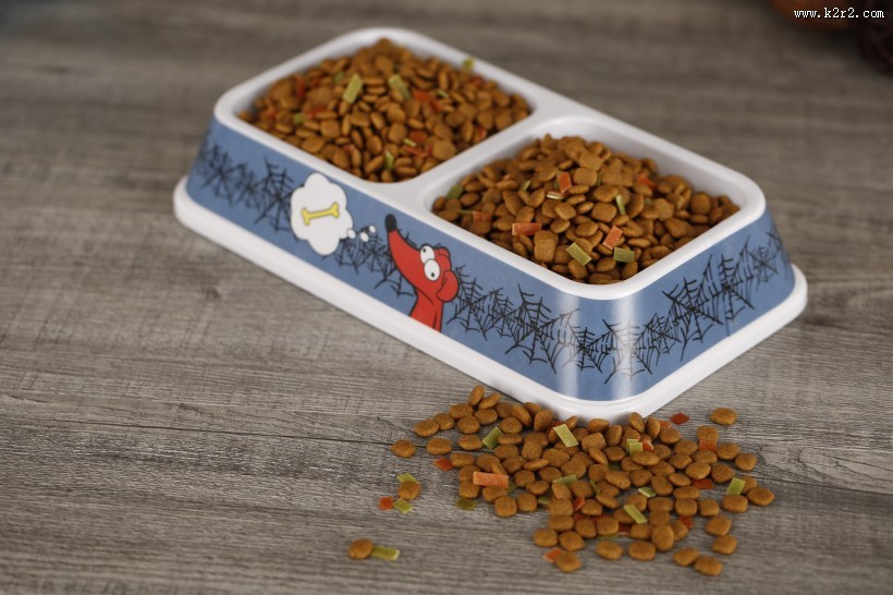狗狗的美味食物狗粮图片大全
