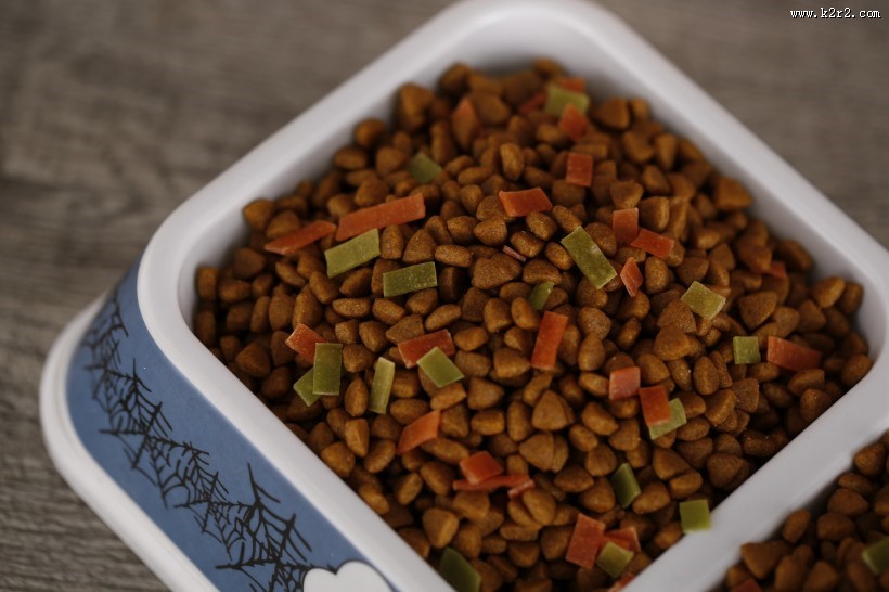 狗狗的美味食物狗粮图片大全