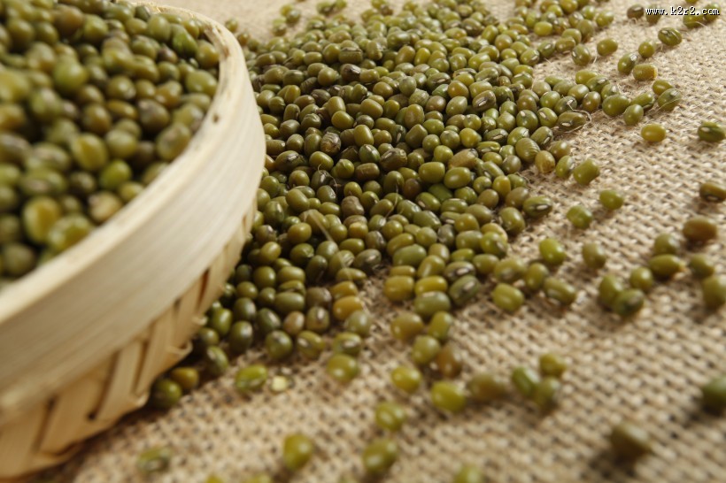 解毒去暑的绿豆图片