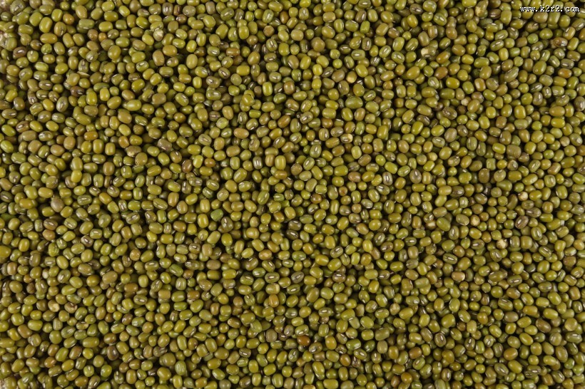 解毒去暑的绿豆图片