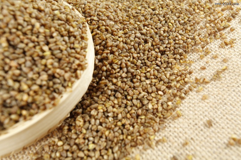 健康苦荞米图片